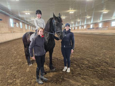 Lindsey Stroh dressage clinic, Alberta Friesian Horse Association ...