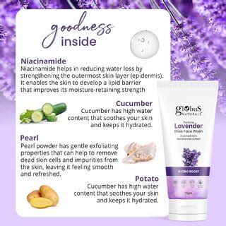 Globus Naturals Face Wash Combo- Hydro Boost Lavender & Anti Acne ...