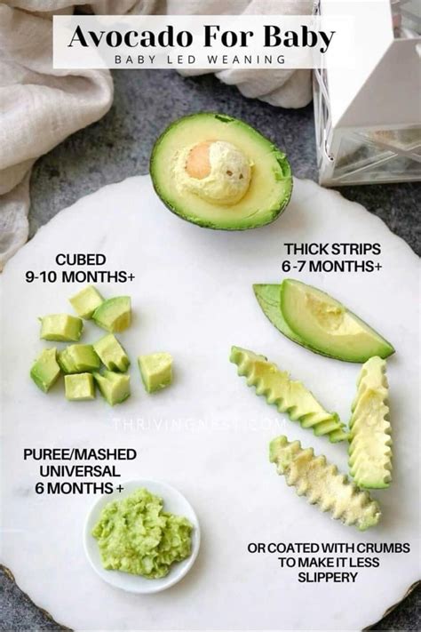 6 to 12 month old feeding schedule for milk and solids free sample schedules included – Artofit