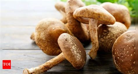 Flu-fighting superfood: How mushroom fibre may help protect against ...