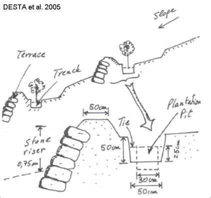 Micro-hydro Power (MHP) Projects - Mitigation and Intervention ...