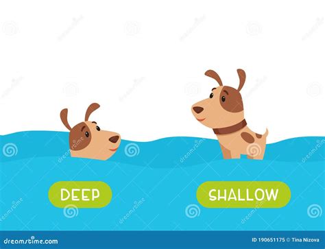 Opposites, DEEP And SHALLOW Words. Educational English Flash Card With ...