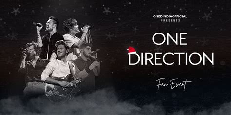 Image result for One Direction Concert Fan Project
