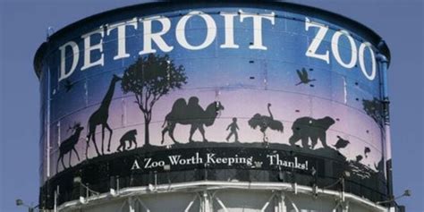 Plan a Day at the Detroit Zoo
