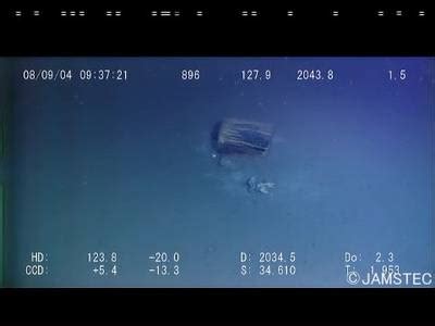TrashCan 1.0 - Dataset Ninja