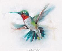 Image result for Hummingbird Acrylic Painting