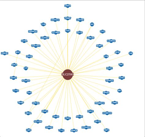 Image result for Protein Structure Modelling