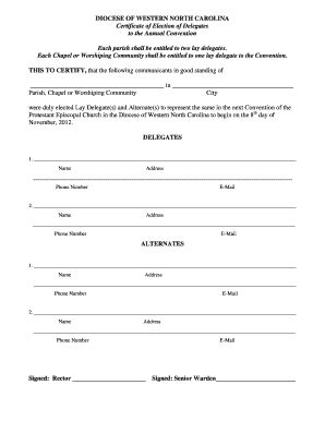 Fillable Online Convention Certificate of Election form - AWS Amazon ...