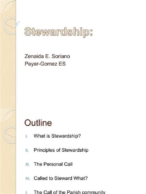 Image result for How to Implement Stewardship