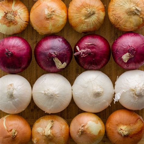 Do Onions Cause Heartburn and Acid Reflux? - Dr. Jamie Koufman