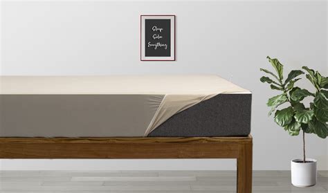 Grassberry- Waterproof Mattress Protector