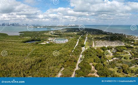 Image result for Key Biscayne Aerial View