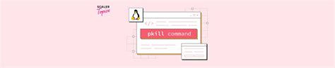 Pkill Command in Linux 的图像结果
