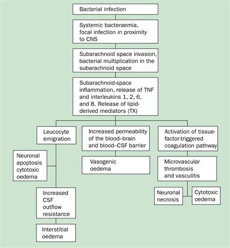 Bacterial Meningitis Precautions N95 at Hugo Carter blog