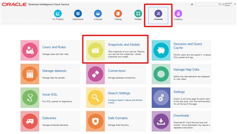 Oracle BICS 的图像结果
