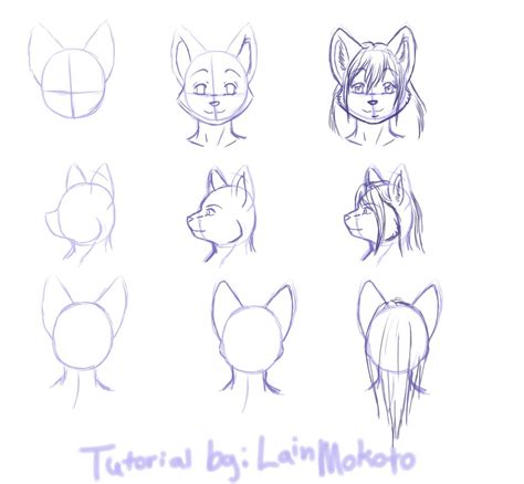 Image result for Anthro Drawing Tutorial