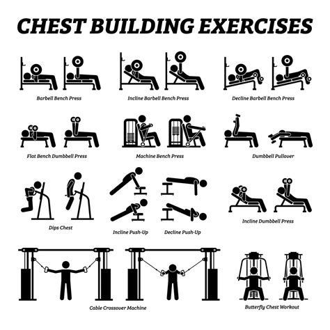 Image result for Functional Chest Exercises