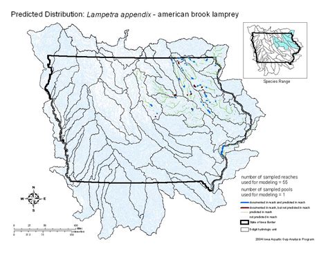 Fish Iowa - Fish Species - American Brook Lamprey