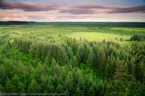 Copper River Delta | Chugach National Forest, Alaska | Photos by Ron ...