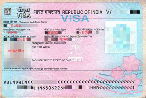 印度签证样本