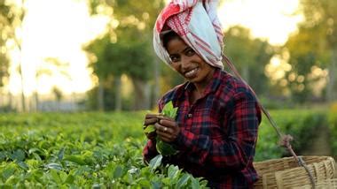 Nature | Unilever