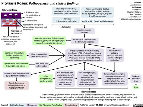 Image result for Rash Algorithm Pityriasis