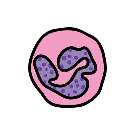 Image result for Python Accessing a Dictionary