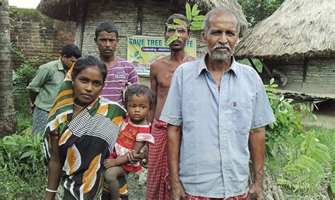 Welcome to SGEA - Sundarban Green Environment Association - Towards A ...