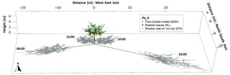 Modelling and Comparing Shading Effects of 3D Tree Structures with ...