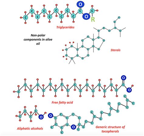 Oil Molecule Nonpolar Solved Mixtures Like Oil (nonpolar Hydrocarbons)