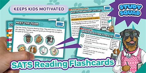 Study Squad KS2 SATs Reading Revision Flashcards