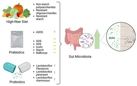 Nutrients | May-1 2023 - Browse Articles
