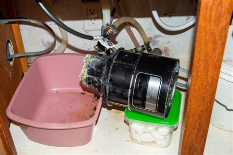 Image result for Garbage Disposal Cleaning