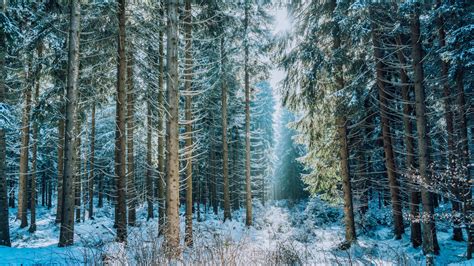 Devils Lake Ice Fishing: Your Comprehensive Guide!