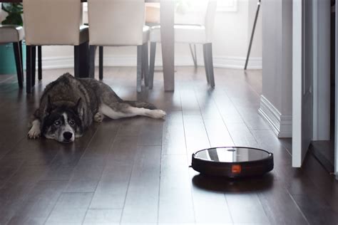 Robotics Car Project 的图像结果