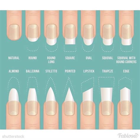 What are the 5 basic nail shapes everything you need to know – Artofit