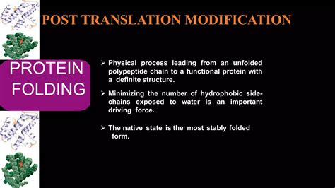 Most Common Post Translation Modification of Protein 的图像结果