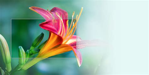 Image result for Full Array Backlight vs Direct Lit LED