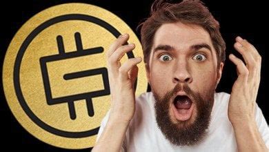 Image result for Stepn Code Generator