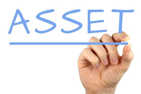 Image result for Asset Protection LLC