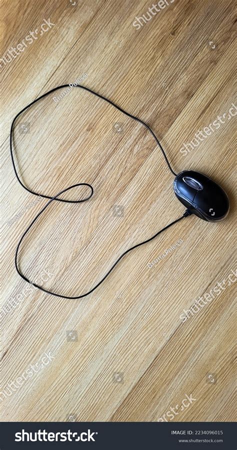 Image result for Computer Mouse Top View