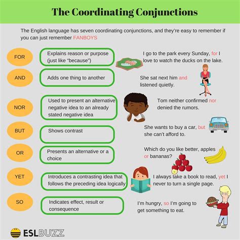 Types of Conjunctions: English Grammar Rules and Examples - ESLBUZZ