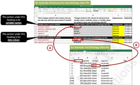 Image result for How Do I Create a Dictionary From a Data File