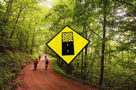 Spring Trans 的图像结果