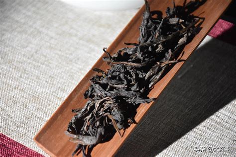 青茶品种排名前十名：武夷岩茶居第八，铁观音排第一名_巴拉排行榜