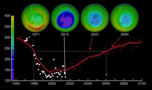 Download: Ozone Depletion Biology Investigatory Project PDF Class 12