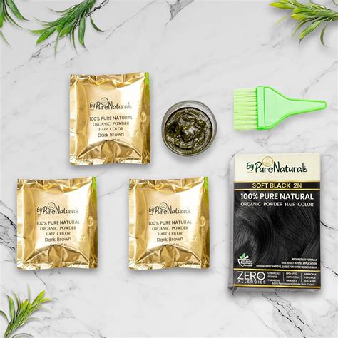 byPureNaturals 100% Organic Pure Natural Powder Hair Color- 60 Gm- 2N ...