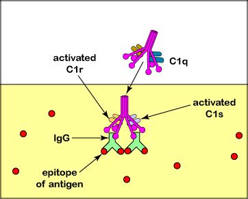 Image result for Research Design Descriptive Method Example