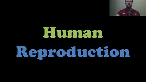 Image result for Human Reproduction YouTube