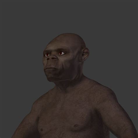 Image result for Australopithecus Simulation